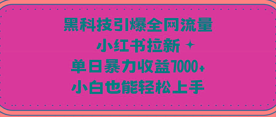 (9679期)黑科技引爆全网流量小红书拉新，单日暴力收益7000+，小白也能轻松上手-随风资源网