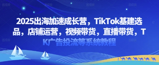2025出海加速成长营，TikTok基建选品，店铺运营，视频带货，直播带货，TK广告投流等系统教程-随风资源网