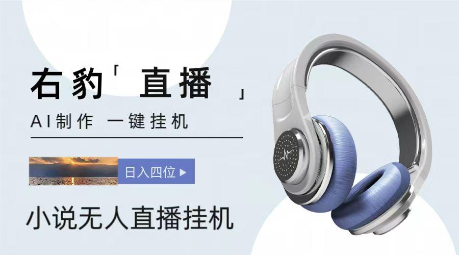 右豹小说无人直播挂机吸金项目，简单易行收益稳定， 月入1000+-随风资源网