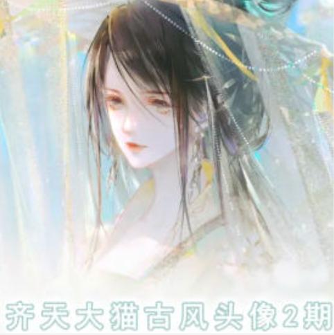 齐天大猫古风头像课第2期，帮助您提高您的绘画技能-随风资源网
