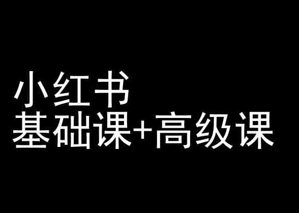 小红书基础课+高级课-小红书运营教程-随风资源网