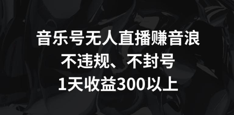 音乐号无人直播赚音浪，不违规、不封号，1天收益300+【揭秘】-随风资源网