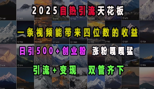 2025自热引流天花板，一条视频能带来四位数的收益，引流+变现双管齐下，日引500+创业粉，涨粉嘎嘎猛-随风资源网