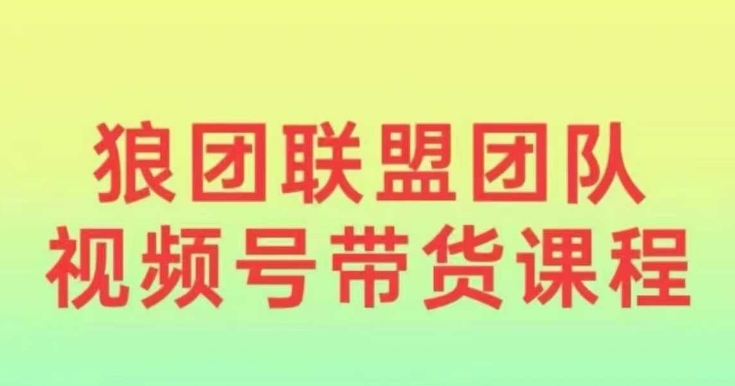 狼团联盟2024视频号带货，0基础小白快速入局视频号-随风资源网