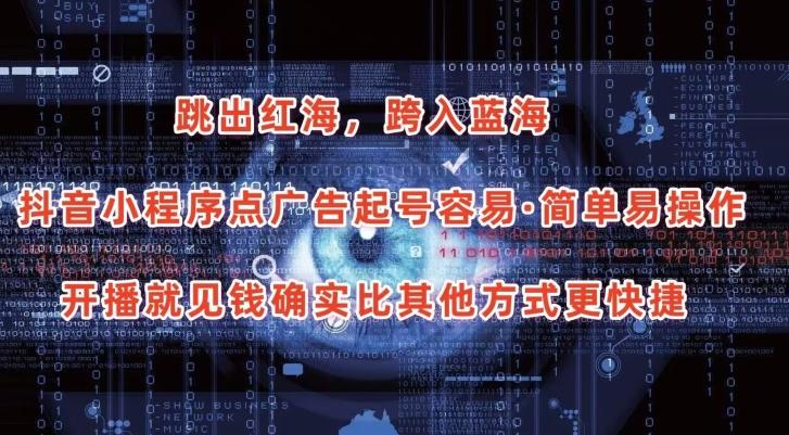 抖音小程序点广告项目，起号容易，简单易操作，开播就见有收益【揭秘】-随风资源网