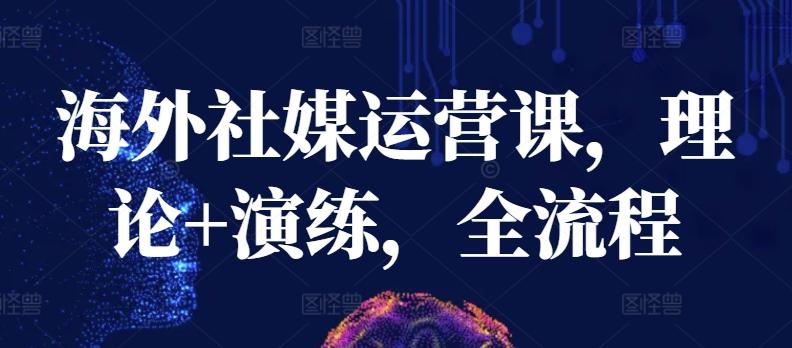 海外社媒运营课，理论+演练，全流程-随风资源网