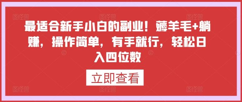 最适合新手小白的副业！薅羊毛+躺赚，操作简单，有手就行，轻松日入四位数【揭秘】-随风资源网