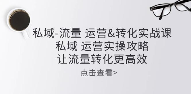 私域-流量 运营&转化实操课：私域 运营实操攻略 让流量转化更高效-随风资源网