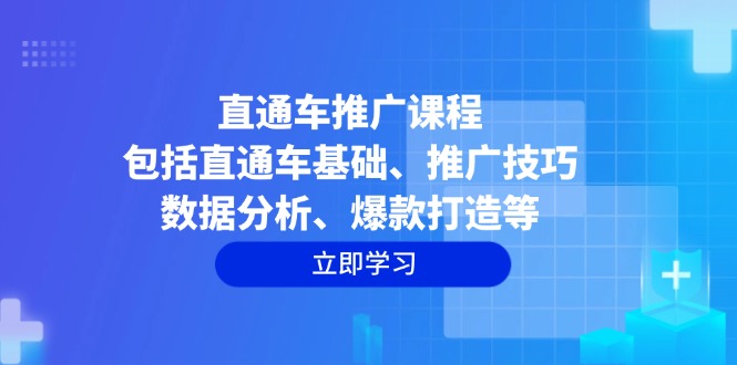 直通车推广课程：包括直通车基础、推广技巧、数据分析、爆款打造等-随风资源网