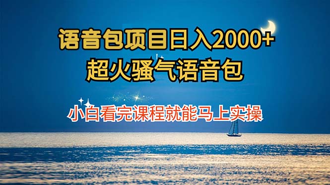 语音包项目 日入2000+ 超火骚气语音包小白看完课程就能马上实操-随风资源网