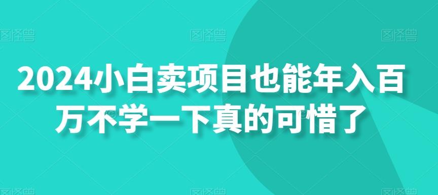 2024小白卖项目也能年入百万不学一下真的可惜了-随风资源网