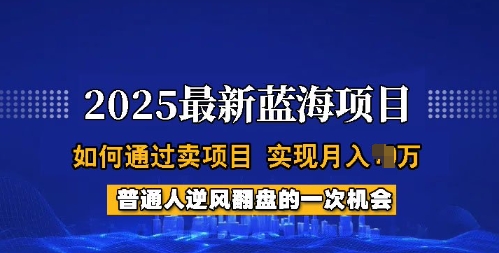 2025蓝海项目，普通人如何通过卖项目，实现月入过W，全过程【揭秘】-随风资源网
