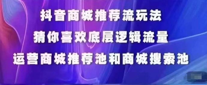 抖音商城运营课程，猜你喜欢入池商城搜索商城推荐人群标签覆盖-随风资源网