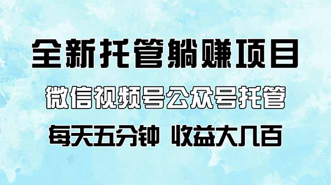 全新托管躺赚项目，微信视频号公众号托管代运营，每天五分钟，收益大几百-随风资源网