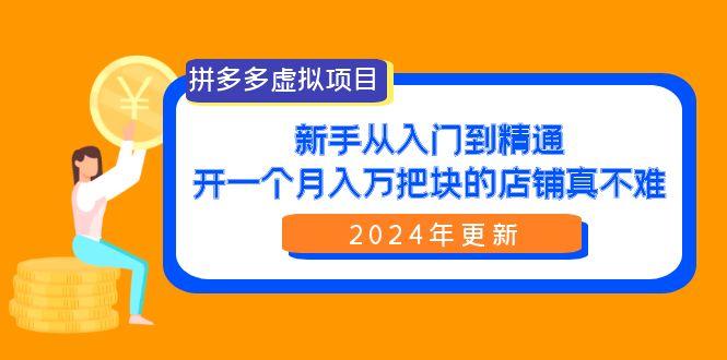 (9744期)拼多多虚拟项目：入门到精通，开一个月入万把块的店铺 真不难(24年更新)-随风资源网