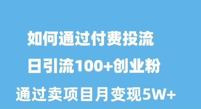 如何通过付费投流日引流100+创业粉月变现5W+-随风资源网