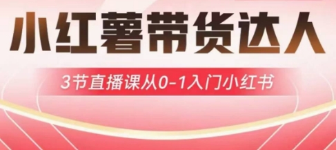小红薯达人带货启航计划，3节直播课从0-1入门小红书-随风资源网