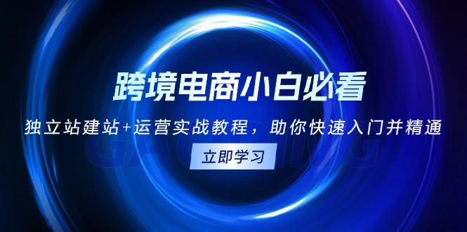 跨境电商小白必看！独立站建站+运营实战教程，助你快速入门并精通-随风资源网