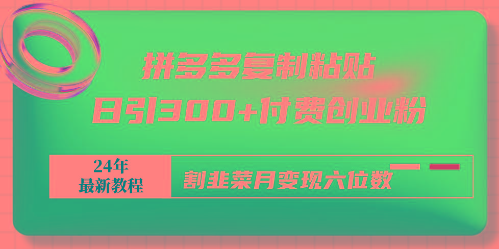 拼多多复制粘贴日引300+付费创业粉，割韭菜月变现六位数最新教程！-随风资源网