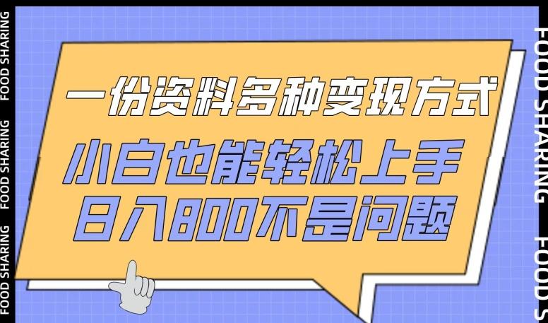 一份资料多种变现方式，小白也能轻松上手，日入800不是问题【揭秘】-随风资源网