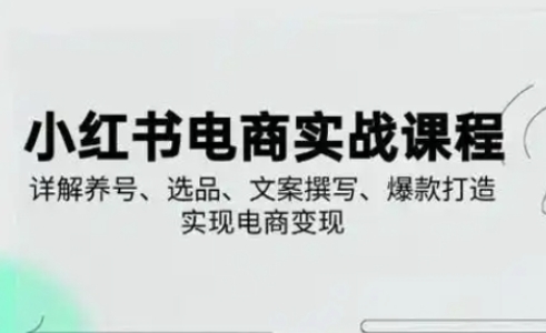 小红书从0-1实操课(2023-2025)，详解养号、选品、文案撰写、爆款打造实现电商变现-随风资源网