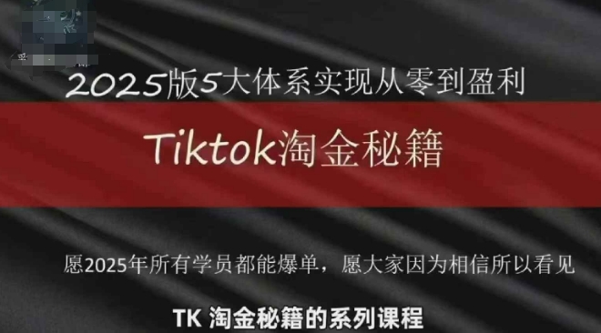 TikTok跨境2025淘金秘籍，​2025TikTok从0到盈利变现-随风资源网