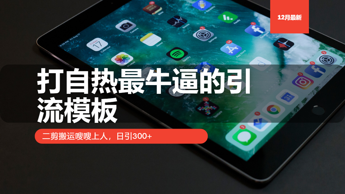 打自热最牛逼的引流模板，二剪搬运嗖嗖上人，日引300+-随风资源网