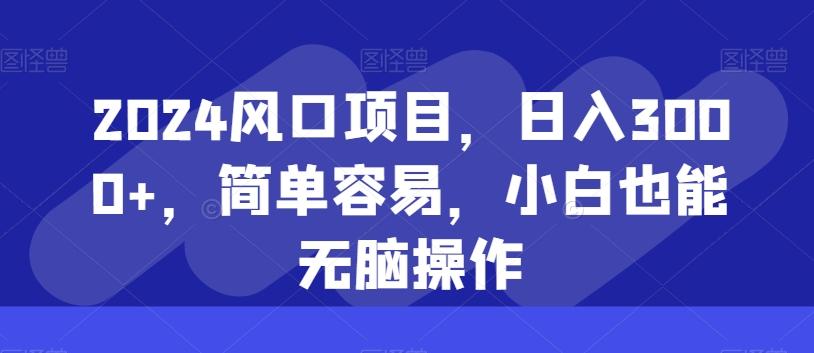 2024风口项目，日入3000+，简单容易，小白也能无脑操作-随风资源网