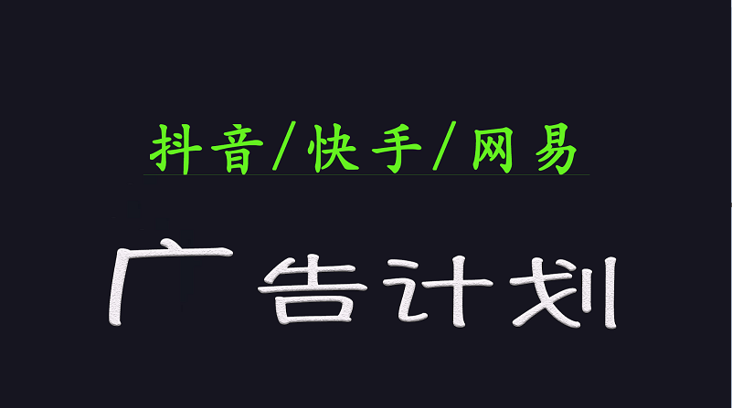 2025短视频平台运营与变现广告计划日入1000+，小白轻松上手-随风资源网