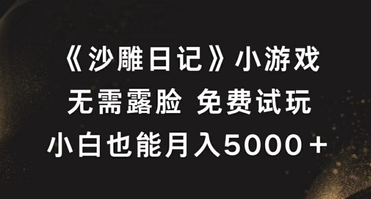 《沙雕日记》小游戏，无需露脸免费试玩，小白也能月入5000+【揭秘】-随风资源网