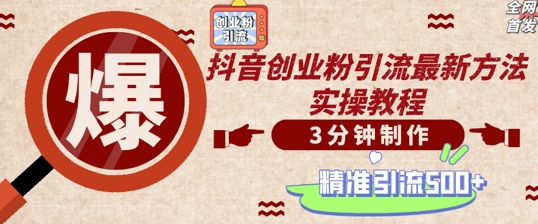 轻松制作创业类视频，一天被动加精准创业粉500+【揭秘】-随风资源网