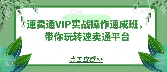 速卖通VIP实战操作速成班，带你玩转速卖通平台-随风资源网