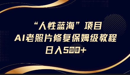 人性蓝海AI老照片修复项目保姆级教程，长期复购，轻松日入5张-随风资源网