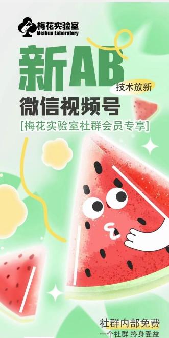 梅花实验室2024年AB技术视频号AB合成破解版-随风资源网