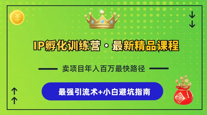 IP孵化训练营，知识付费全流程+最强引流术+小白避坑指南-随风资源网