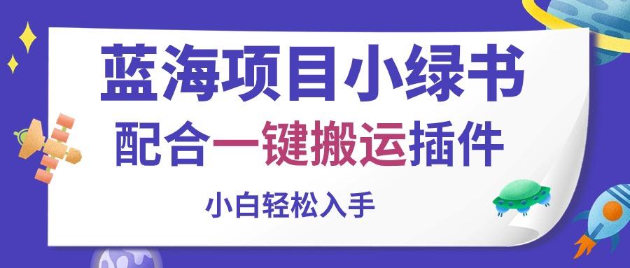 蓝海项目小绿书，配合一键搬运插件，小白轻松入手-随风资源网