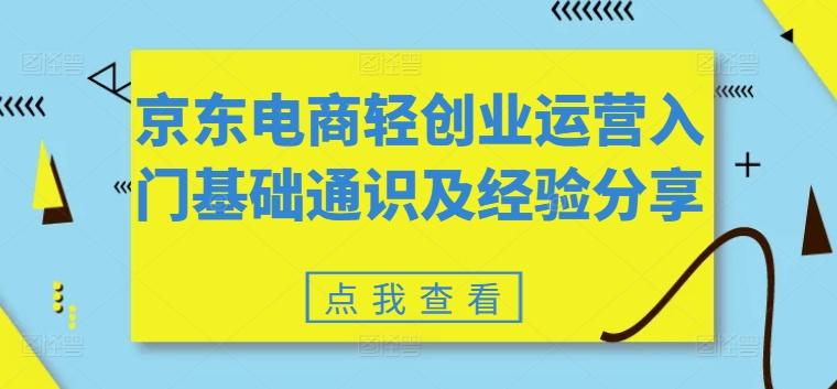 京东电商轻创业运营入门基础通识及经验分享-随风资源网