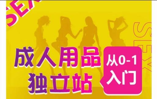 成人用品独立站从0-1入门，成品独立站运营全流程教学，七大好卖成品独立站推荐-随风资源网