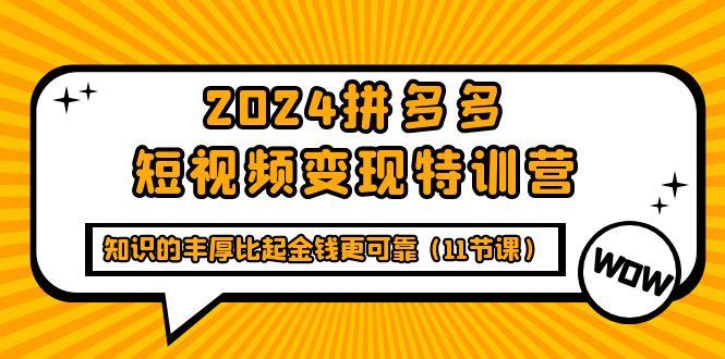 (9817期)2024拼多多短视频变现特训营，知识的丰厚比起金钱更可靠(11节课)-随风资源网