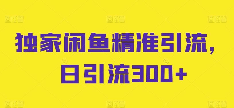 独家闲鱼精准引流，日引流300+【揭秘】-随风资源网
