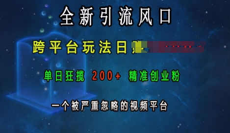 全新引流风口，跨平台玩法日入上k，单日狂揽200+精准创业粉，一个被严重忽略的视频平台-随风资源网