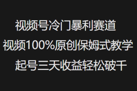 视频号冷门暴利赛道视频100%原创保姆式教学起号三天收益轻松破千-随风资源网