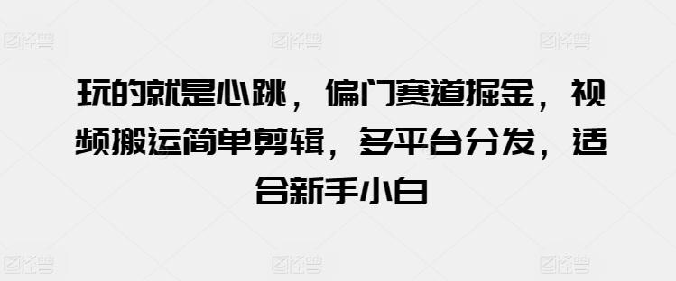 玩的就是心跳，偏门赛道掘金，视频搬运简单剪辑，多平台分发，适合新手小白【揭秘】-随风资源网