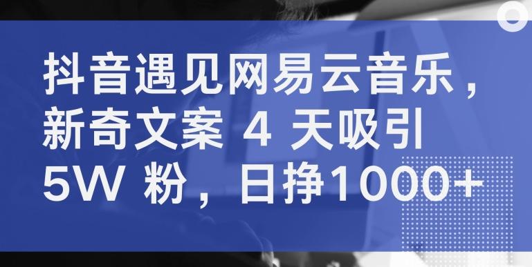 抖音遇见网易云音乐，新奇文案 4 天吸引 5W 粉，日挣1000+【揭秘】-随风资源网