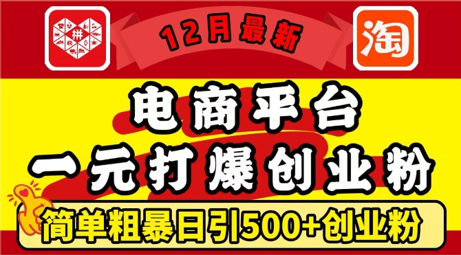 12月最新：电商平台1元打爆创业粉，简单粗暴日引500+精准创业粉，轻松月入过W【揭秘】-随风资源网