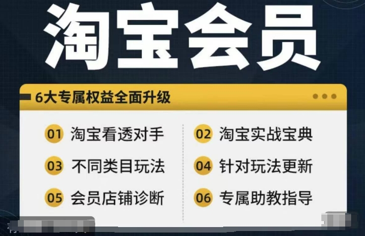 淘宝会员【淘宝所有课程，全面分析对手】，初级到高手全系实战宝典-随风资源网