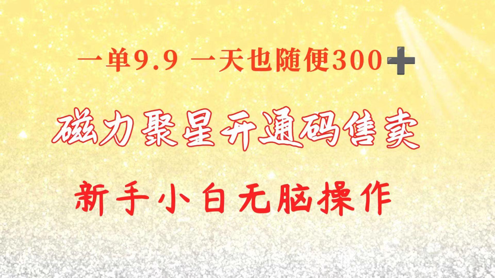 快手磁力聚星码信息差 售卖  一单卖9.9  一天也轻松300+ 新手小白无脑操作-随风资源网