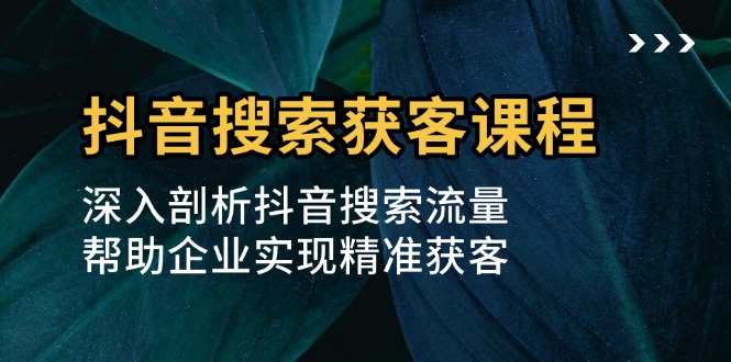 抖音搜索获客课程：深入剖析抖音搜索流量，帮助企业实现精准获客-随风资源网