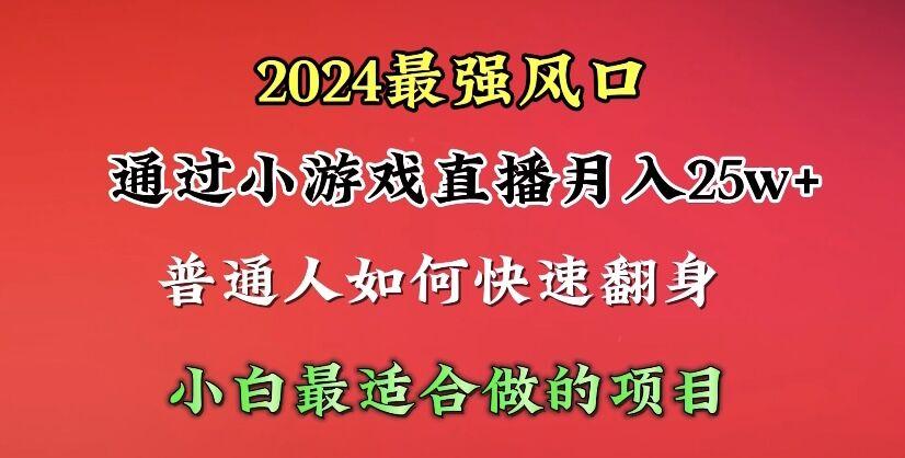 (10020期)2024年最强风口，通过小游戏直播月入25w+单日收益5000+小白最适合做的项目-随风资源网