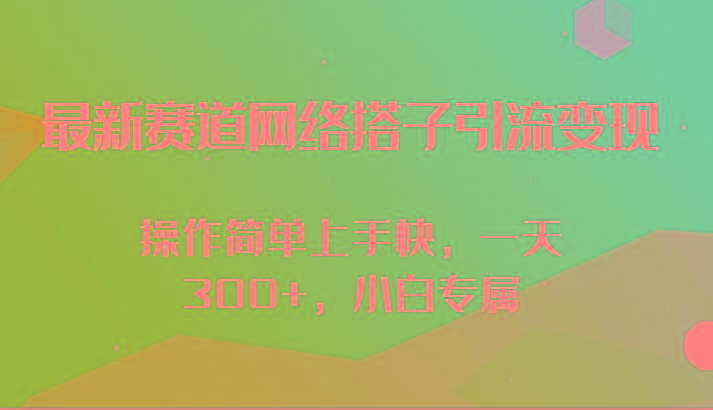 最新赛道网络搭子引流变现!!操作简单上手快，一天300+，小白专属-随风资源网